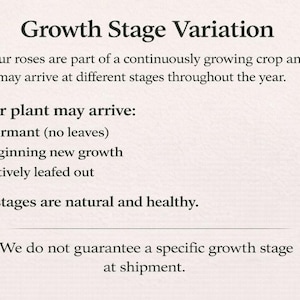 May include: An informational graphic titled Growth Stage Variation. It explains that roses are a continuously growing crop and may arrive in different stages: Dormant (no leaves), Beginning new growth, or Actively leafed out. All stages are natural and healthy.