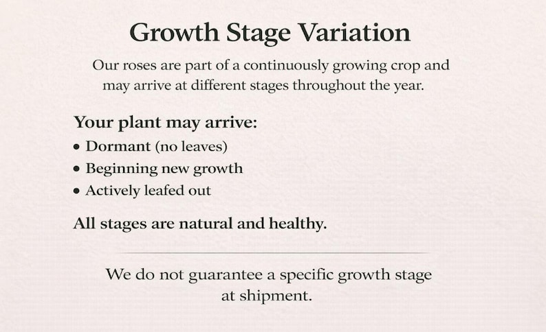May include: An informational graphic titled Growth Stage Variation. It explains that roses are a continuously growing crop and may arrive in different stages: Dormant (no leaves), Beginning new growth, or Actively leafed out. All stages are natural and healthy.