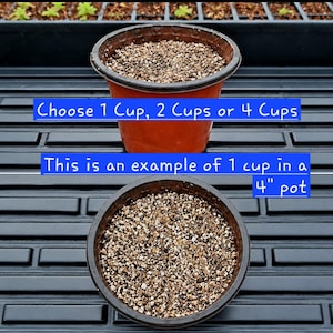 May include: A brown plastic plant pot filled with soil, featuring text that reads: Choose 1 Cup, 2 Cups or 4 Cups. This is an example of 1 cup in a 4" pot. The pot is shown from a side view and a top-down view, displaying the granular soil texture.