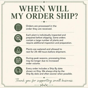 May include: An informational graphic with a cream background and dark green text titled WHEN WILL MY ORDER SHIP? It features five circular icons representing order processing, plant inspection, watering, seasonal delays, and shipping dates.