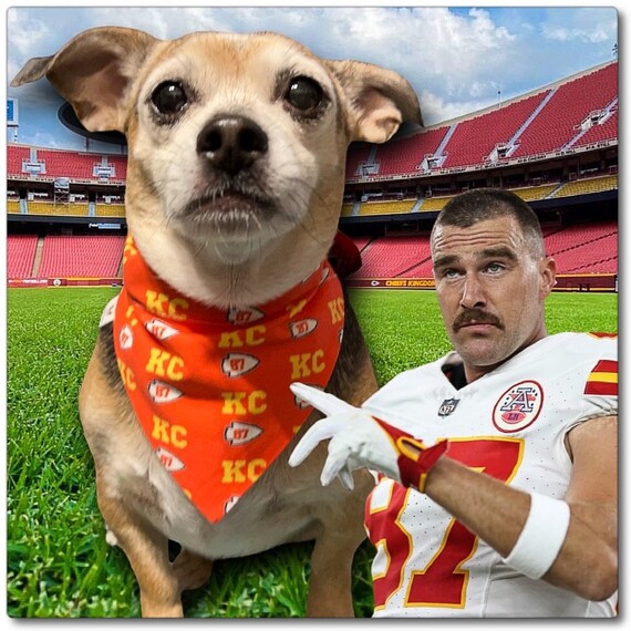 Dog Bandana Kansas City Chiefs Dog Sweater Red Kansas City Chiefs