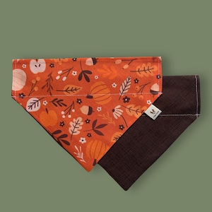 Bandana reversibile per animali domestici con ghiande, mele e zucche
