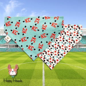 KC Current Reversible Pet Bandana