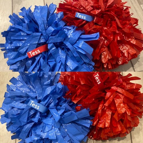 Cheer / Dance Pom Name Tag Pair Etsy