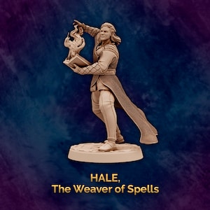 Custom 3D Printed BG3 Baldur&#39;s Gate 3 (III) Gale Miniature (v4)