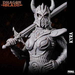 May include: A gray figurine of a warrior, holding a sword. The warrior wears a horned helmet and detailed armor. The text "DRAGON + BLADE" is at the top left. The name "KYRA" is on the right side.