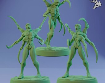 Lost Sorrowsworn (3 Pack)