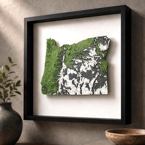 May include: A three-dimensional wall art piece featuring a textured relief map of the state of Oregon, framed in a black shadow box. The map displays green forested areas and white snow-capped mountain ranges against a white background.