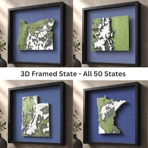 May include: Four square black shadow box frames each containing a 3D topographical map of a US state. The maps feature green terrain, white snow-capped mountains, and dark grey valleys against a blue background. Text reads 3D Framed State - All 50 States.