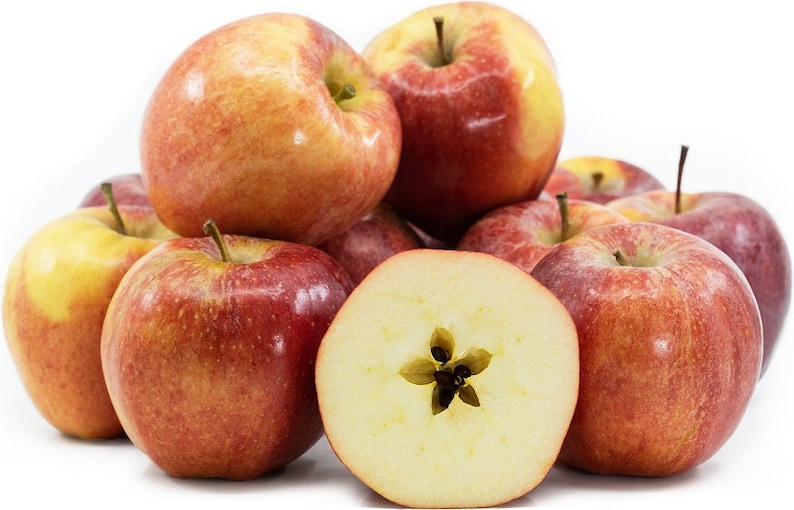 Gala Apple Tree Seeds Fresh Easy to Grow Trees for Fruit, Grafting