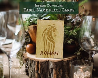 Elven Table Name Cards Set of 30 - Fantasy Birthday Table Numbers - Tolkien Themed Party - Printable Place Cards - Ring Lord Decor