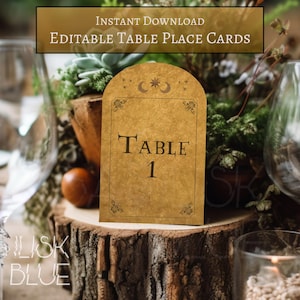 Potter Table Number Cards - Wizard Table Place Cards - Potter Party Decor - Wizard Themed Party - Celestial Table Numbers Printable Decor