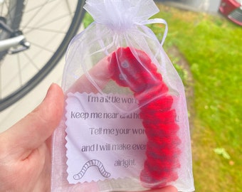 Crocheted Worry Worm with Poem: Handmade Stress Relief Fidget Toy