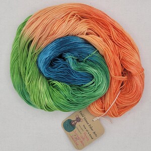 Jacamar on Superwash Merino Fingering