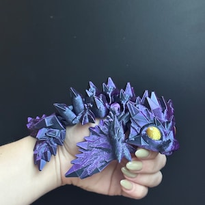 Black/Purple Shift Dragon Friend