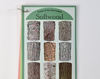 Trees of the Northeast 4x6 inch Waterproof Laminated Tree Identification Guide: Hardwood, Softwood, Maple, Birch Great for Hiking