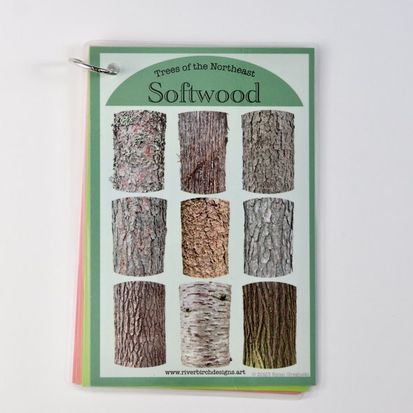 Trees of the Northeast 4x6 inch Waterproof Laminated Tree Identification Guide: Hardwood, Softwood, Maple, Birch Great for Hiking
