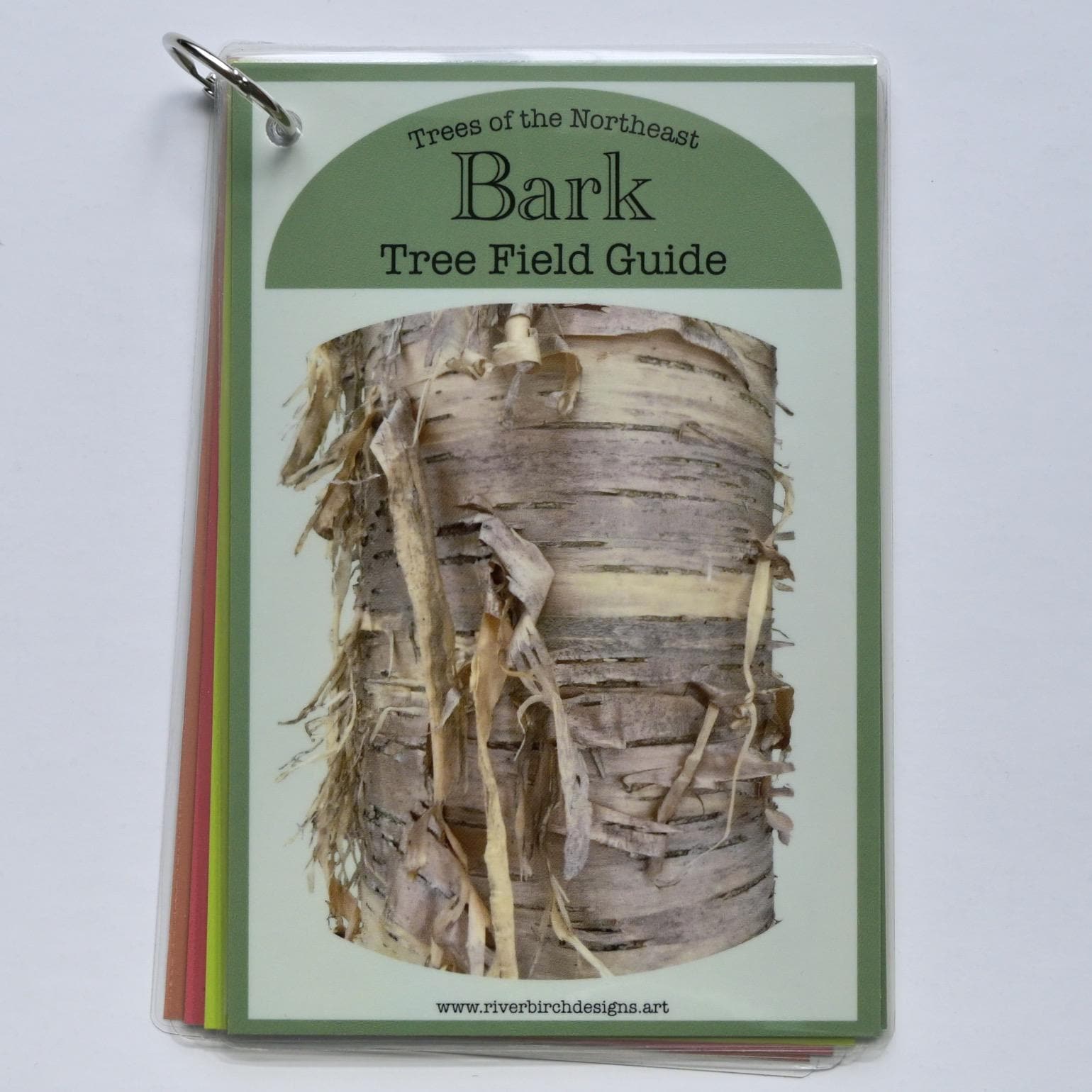 Waterproof Northeast Tree Bark Identification Guide: Laminated 4