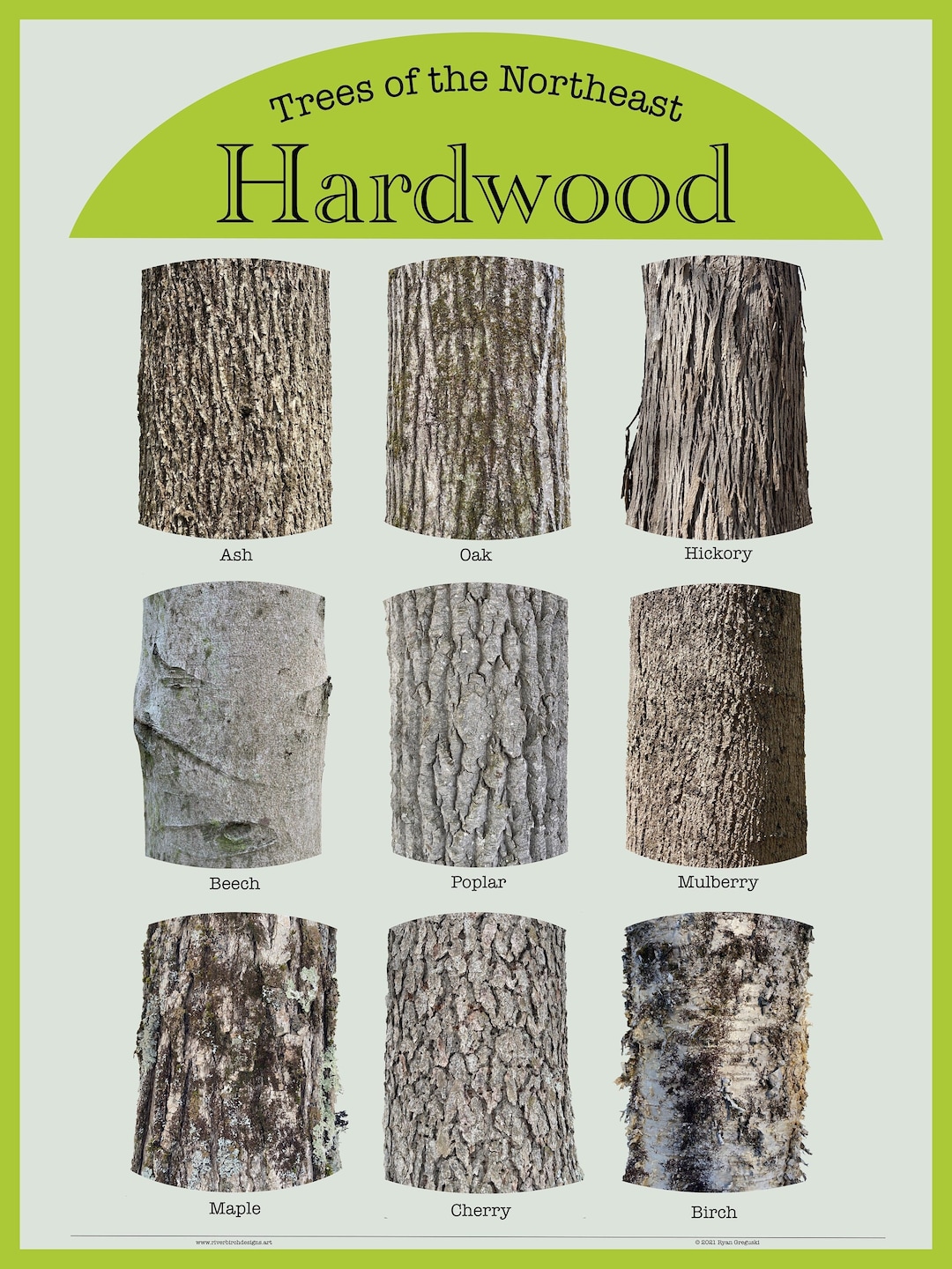 trees-of-the-northeast-hardwood-bark-poster-18x24-9-unique-hardwood