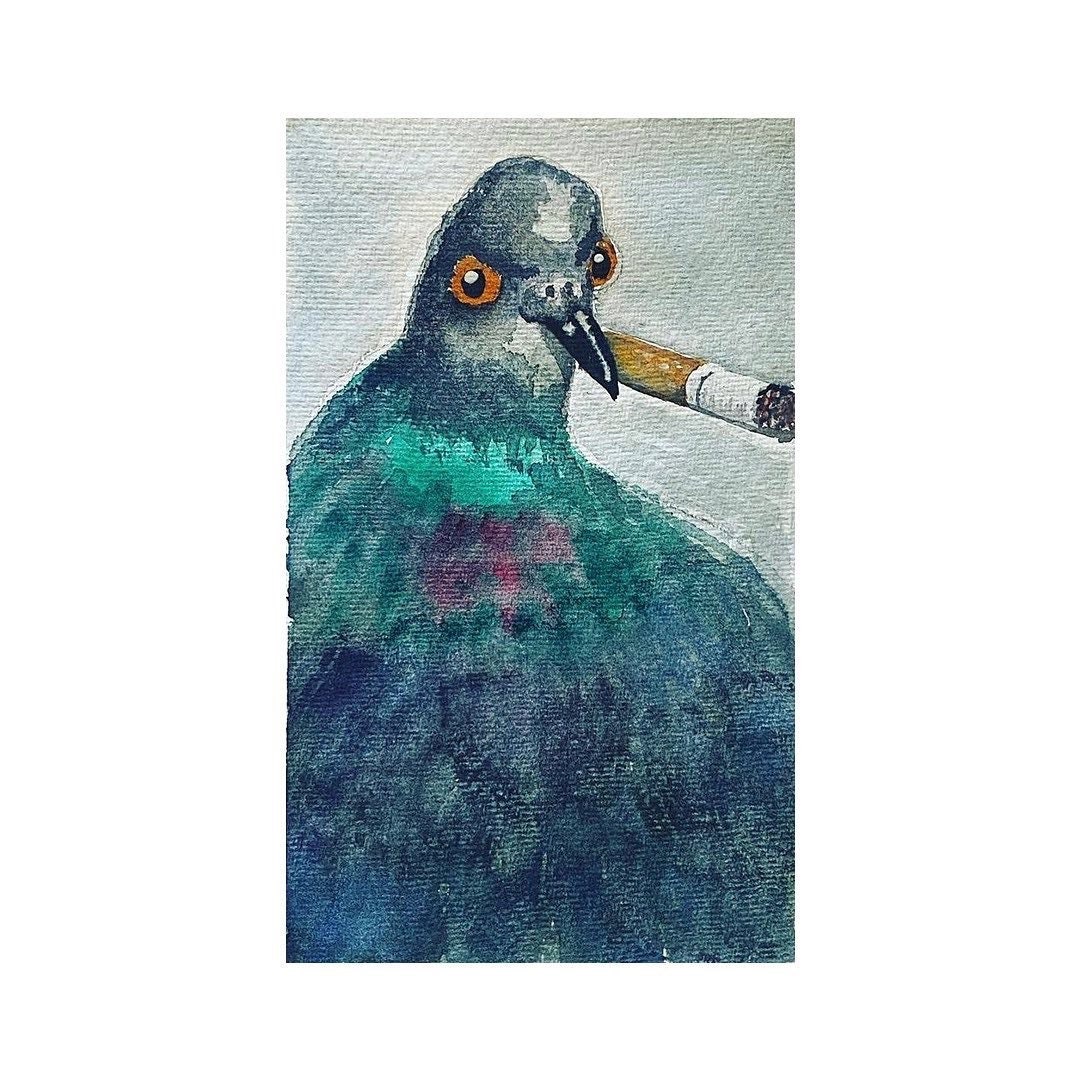 Fat Smoking Pigeon. Quirky Hand Painted Art. British Bird Lovers