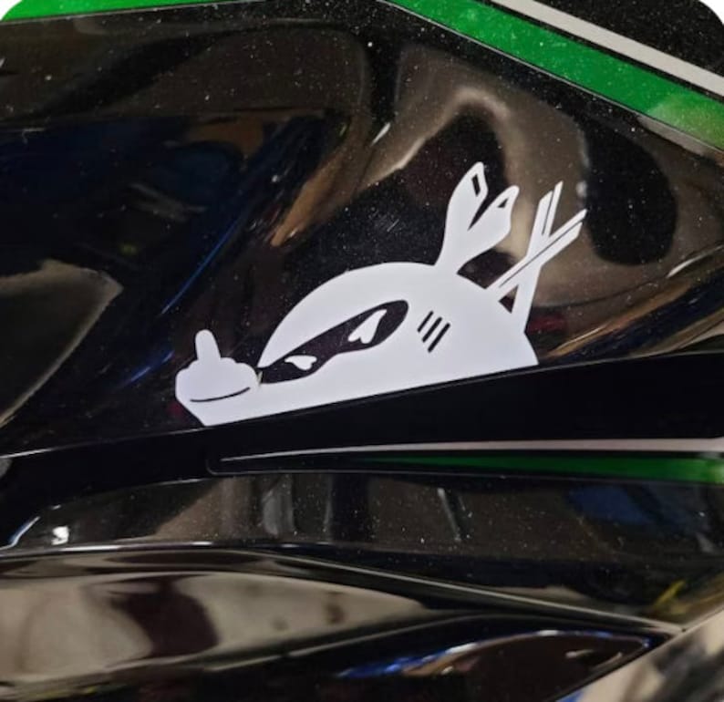 May include: A white vinyl sticker of a cartoon creature with a black eye mask and a middle finger, on a black and green motorcycle fairing.