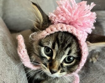 Pom Pom Hat