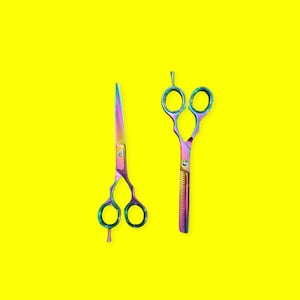 Professional Hairdressing Scissors Barber Salon Haircutting Shears 6&quot; multicolor with black kit