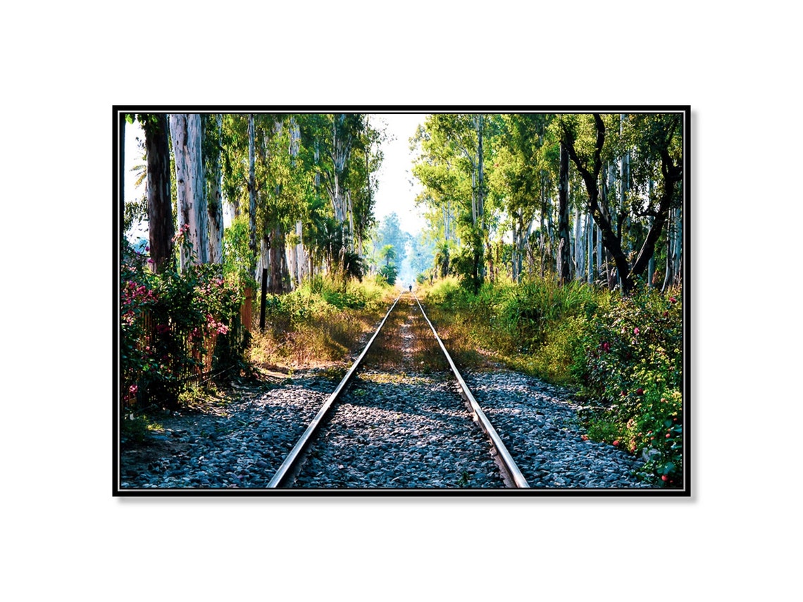 Printable Railroad Tracks in a Beautiful Tropical Forest. Indian ...