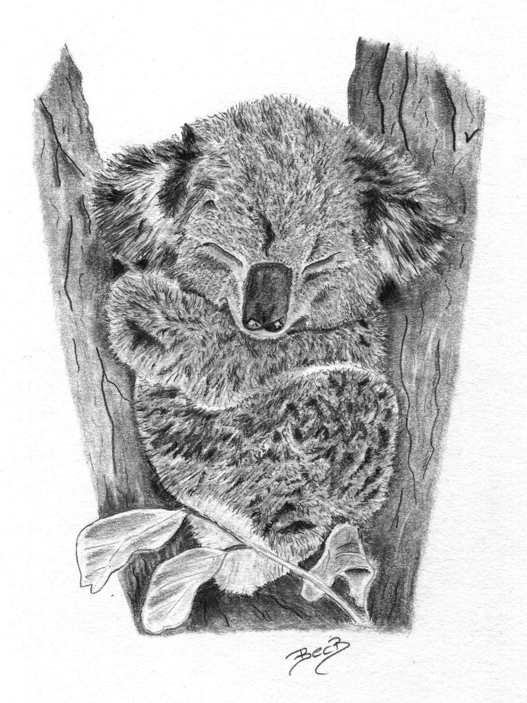 Cute Koala in Eucalyptus Tree Print Koala Wall Art Koala Etsy