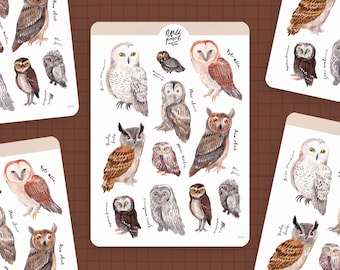 Sticker Sheet Owls | paper sticker sheet, cute stickers, planner stickers, bullet journal stickers, animal stickers