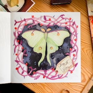 May include: A watercolor illustration of a green Luna moth with yellow spots, surrounded by a pink and purple vine with red berries. The illustration is on a white page with a label that reads "Luna Moth" and "Julias Patton" in cursive handwriting.