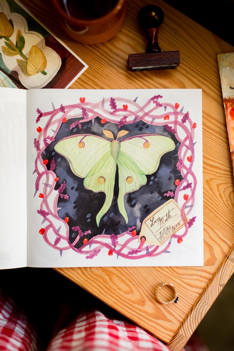 May include: A watercolor illustration of a green Luna moth with yellow spots, surrounded by a pink and purple vine with red berries. The illustration is on a white page with a label that reads "Luna Moth" and "Julias Patton" in cursive handwriting.