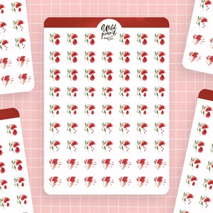 Planificador de hojas de pegatinas Menstruación / hoja de pegatinas de papel, pegatinas lindas, pegatinas de planificador, pegatinas de bullet journal, pegatinas de diario, mujeres