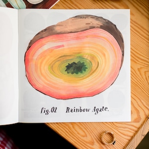 May include: A watercolor illustration of a rainbow agate, a type of gemstone with concentric bands of color. The caption reads "fig. 02 Rainbow Agate."