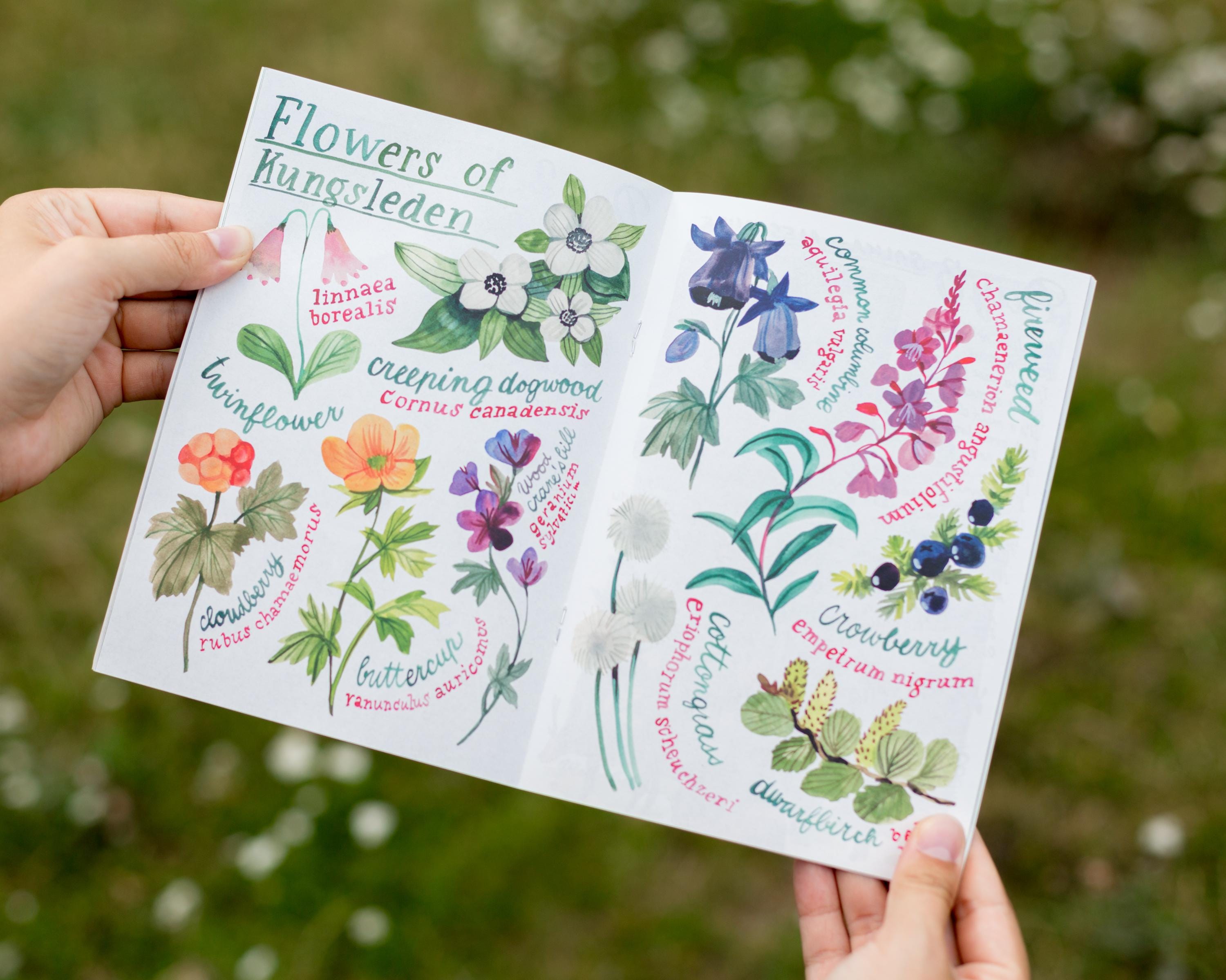 Travel Zine — Under the Midnight Sun - Etsy