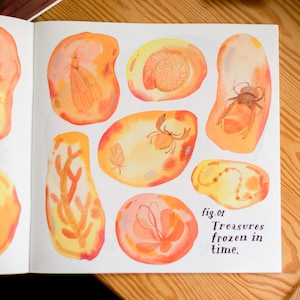 May include: A page from a book with illustrations of various insects, plants, and other small creatures preserved in amber. The page is titled "fig. 01 Treasures frozen in time."