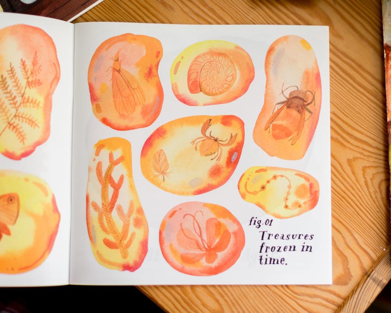 May include: A page from a book with illustrations of various insects, plants, and other small creatures preserved in amber. The page is titled "fig. 01 Treasures frozen in time."
