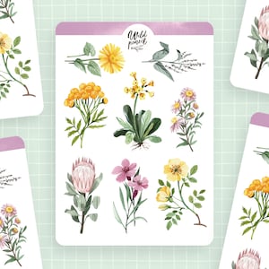 Sticker Bogen Blumen II. | Papier Stickerbogen, Aufkleber, Planer Sticker, Bullet Journal, Natur Sticker, ästhetischer Stickerbogen