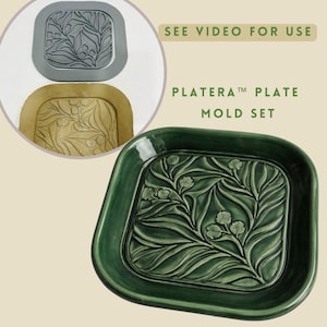 Könnte beinhalten: Ein grüner quadratischer Teller mit floralem Design, Teil eines Formensatzes. Der Teller hat ein erhabenes, detailliertes Muster aus Blättern und Blumen. Das Bild zeigt auch die Form, mit dem Text "SEE VIDEO FOR USE" und "PLATERA PLATE MOLD SET".