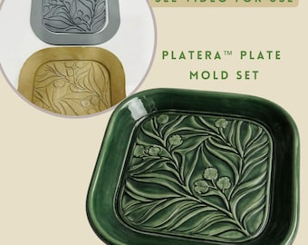 Platera™ Pomegranate Plate Mold Set Clay Plate Maker with Texture Stamp 20 cm