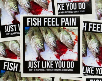 Fish feel pain vegan activism stickers