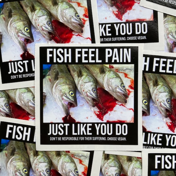 Fish feel pain vegan activism stickers