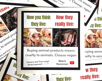 How you think they live vs how they really live vegan activism stickers - pigs- waterproof