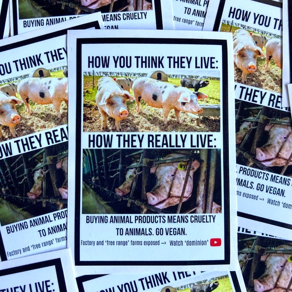 How you think they live vs how they really live vegan activism stickers - pigs- waterproof