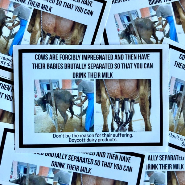 Cows in the dairy industry vegan activism stickers