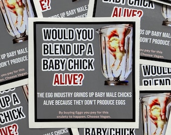 Would you blend up a baby chick vegan activism stickers