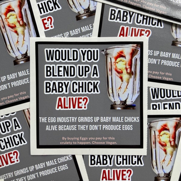 Would you blend up a baby chick vegan activism stickers