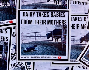 Dairy takes babies from their mothers vegan activism stickers- design 2 of 3