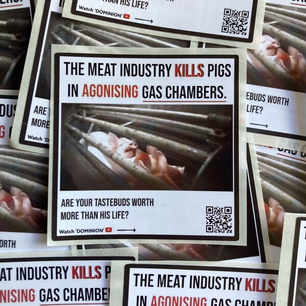 Pigs in the meat industry vegan activism stickers