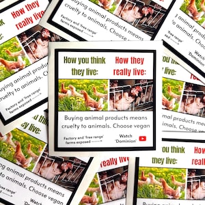 Adesivos de ativismo vegano - galinhas - à prova d'água: como você acha que eles vivem versus como eles realmente vivem
